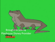 Stanley Komodo Dragon