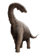 Argyrosaurus superbus