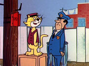 Topccat11