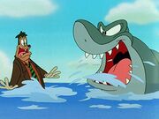 Cabana fever-gooftroop real shark1