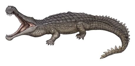 Sarcosuchus-Dink-001
