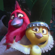 Nico and Pedro (Rio)