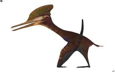 Ikrandraco < Pterodactyloidea.  Prehistoric animals, Prehistoric  creatures, Prehistoric art