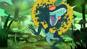 Amphibia Frilled lizard 00