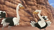 Lionguardostrichtwins1