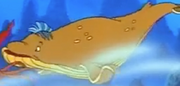 Mammalodon-TLMSeries1