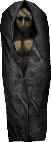 3DBodyBag