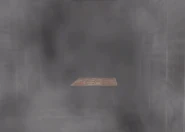 Specimen 5 chasing the player.