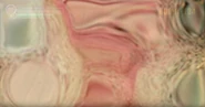 The screen when the player vomits.