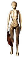 Ditto, front view.