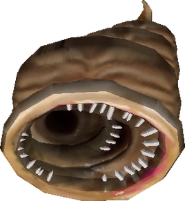 Second Form