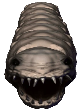 Eel