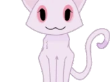 The White Cat