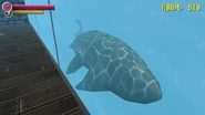 The 3D whale in HD Renovation.