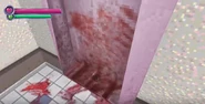 The bloody standing toilet.
