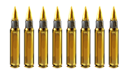 The 8 rounds the Rifle holds.
