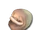 Зубарь