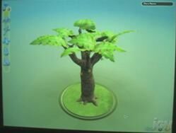 Flora editor.jpg