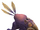 Dwobble