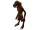 Agatrops/Tuurosian Agatrops