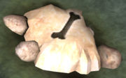 180px-Fossilized domesticated ani.jpg