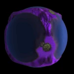 A purple Cube Planet.