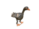 CRE Goose-0b00a23e ful