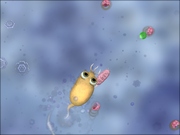 Cell thingy