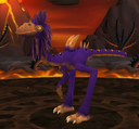 Graceful Dasher