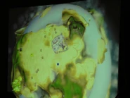 Планета Тамаран из демонстрации2.jpg (37 КБ)