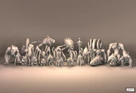 A group picture of creatures that were created in the editor