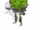 Green Pudding