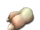 Двуног