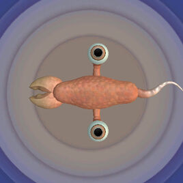 Simnu Profile