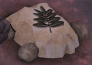 180px-Fossil that everybody finds.jpg