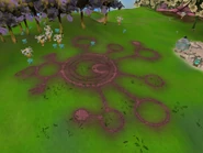 A rare Symbol. Maybe of an old colony.