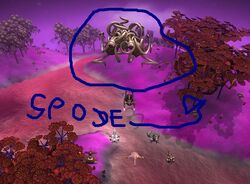 Spode.jpg