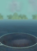 Карточка в Споропедии без интерфейса