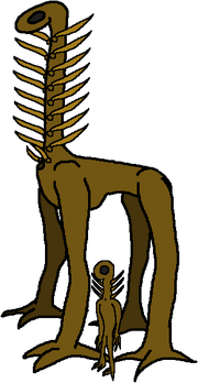 Liriph & Zolacian