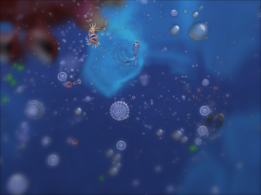 SporeZellenphase.png