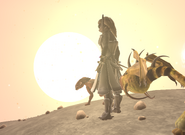 A Radeon female walks with her pets.