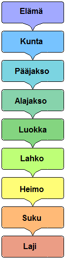 Biologinen luokitus.png
