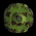 The previous image, but terraformed