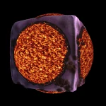 A lava Cube Planet.