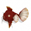 Fishkarp Png file