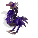 KaczorRex