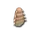 Брызгун