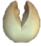 The jaw mounthpart.