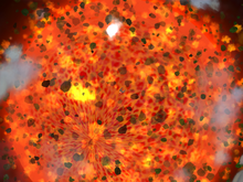 Spore 2019-07-07 22-33-52.png