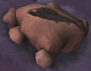 180px-Big dead fish on a little n.jpg